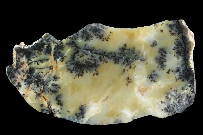 Polished Wanong Dendritic Opal Slab - Australia #96276
